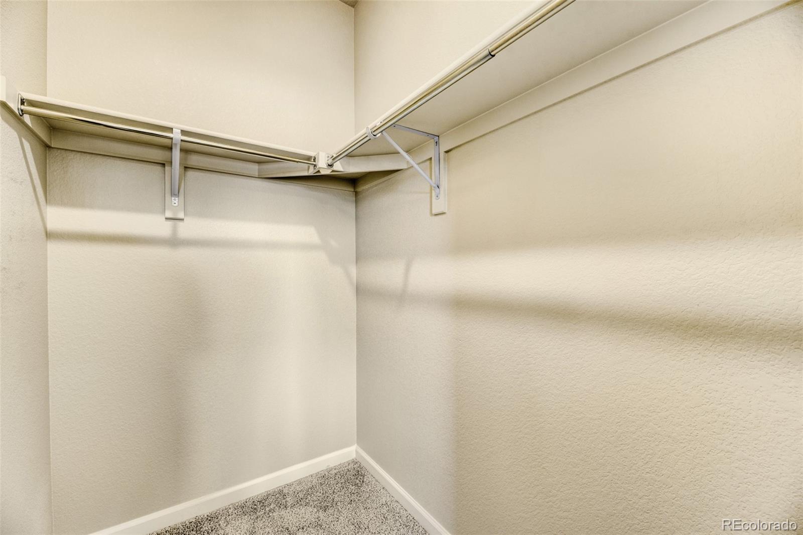 2220 Santini Trail Littleton CO 80129