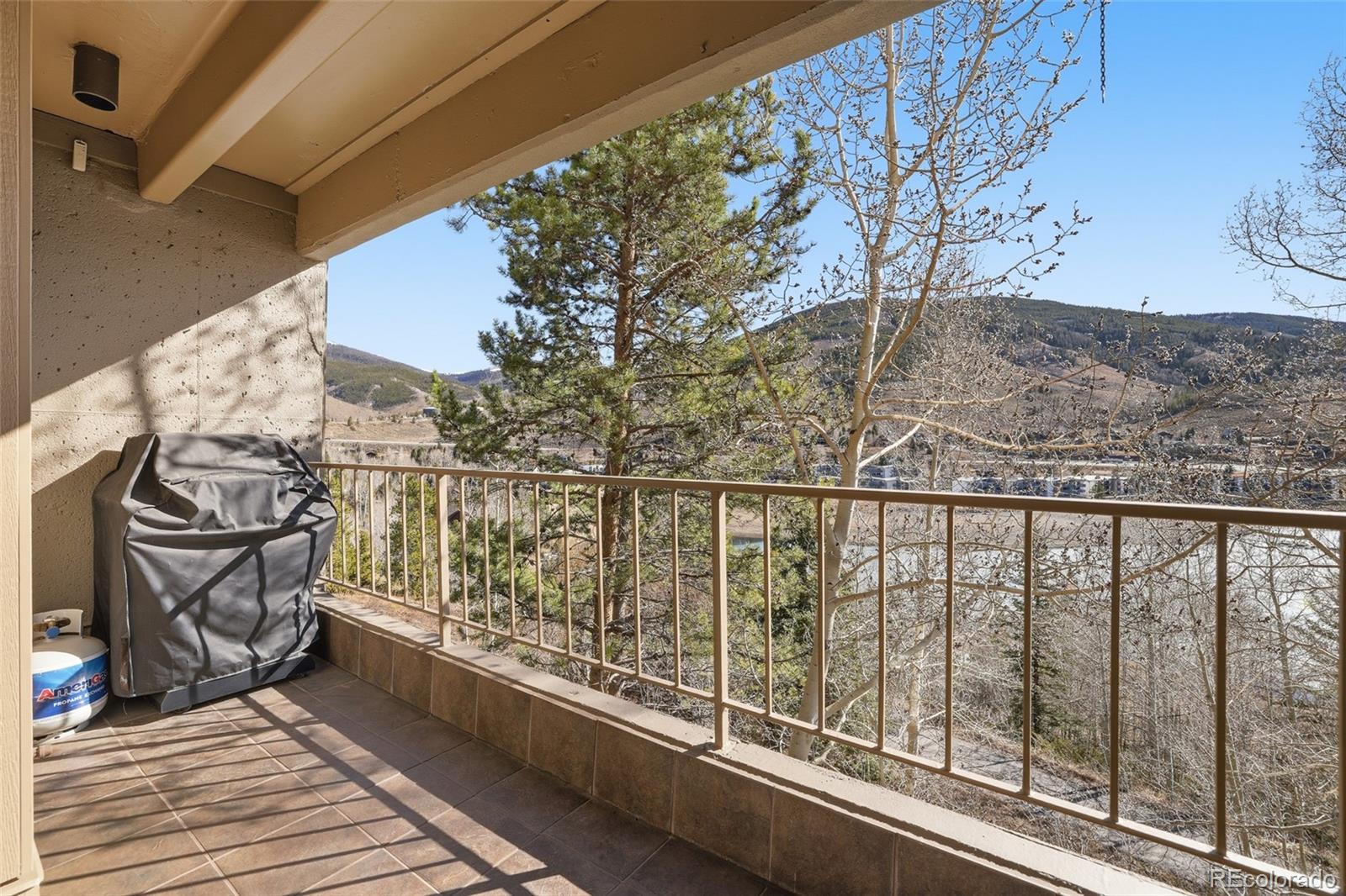 220 E La Bonte Street Dillon CO 80435