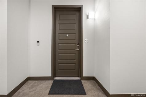 9291 Twenty Mile Road Parker CO 80134