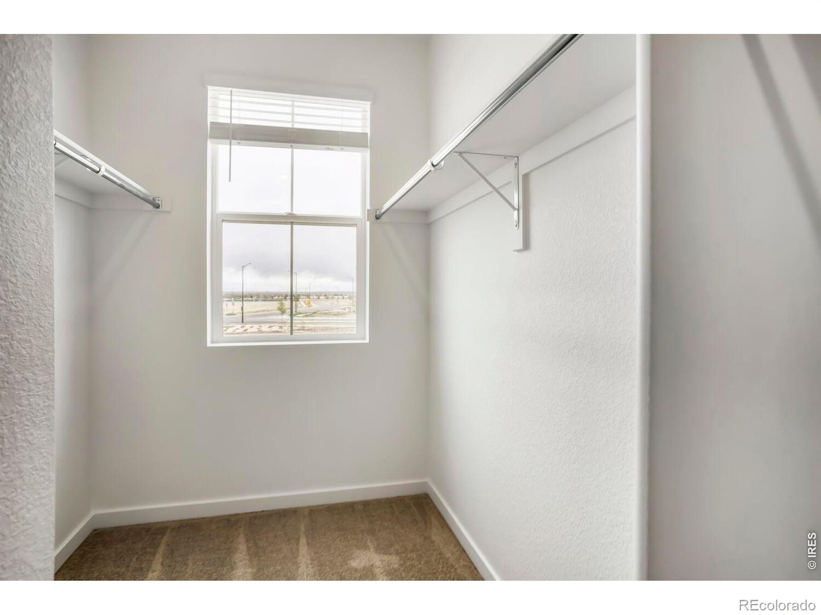 3067 Gladstone Avenue Loveland CO 80538