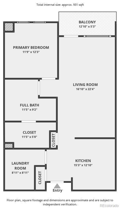 20 Wilcox Street Castle Rock CO 80104
