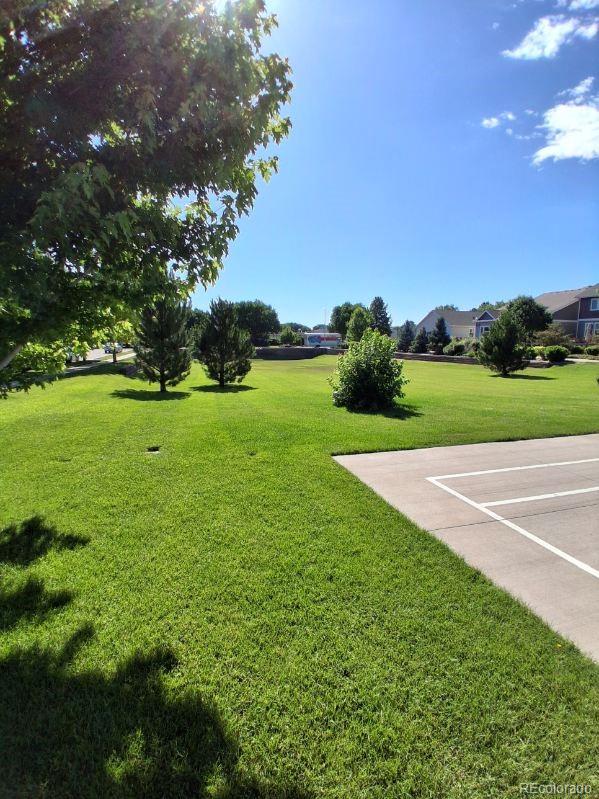 1211 Bistre Street Longmont CO 80501