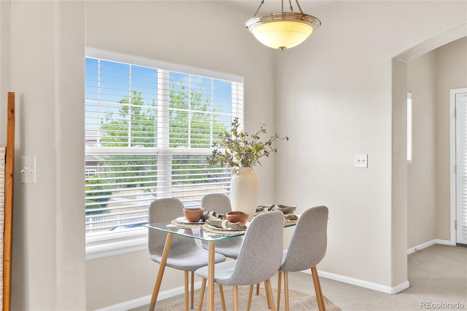 3815 Steelhead Street Fort Collins CO 80528