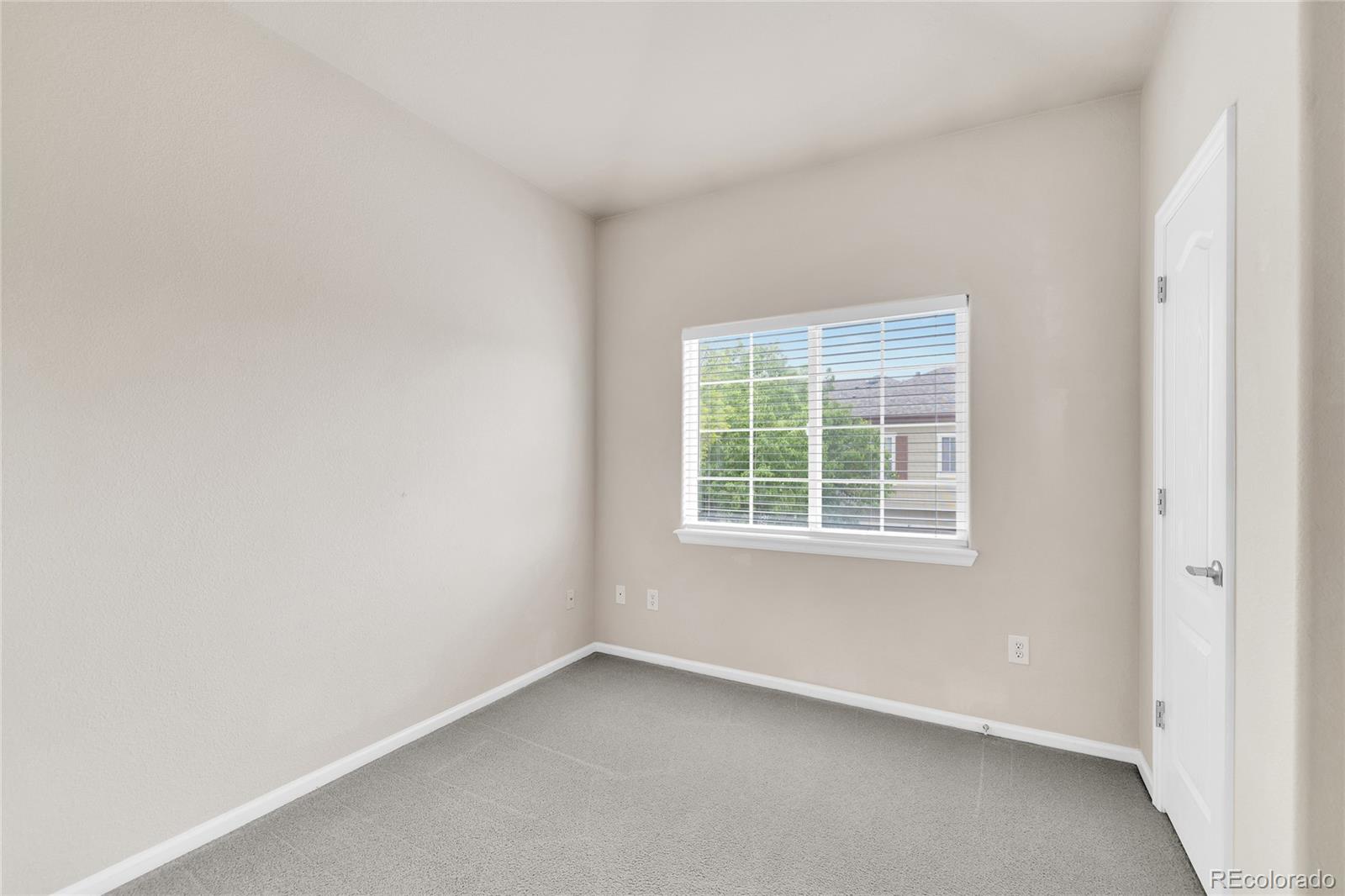 3815 Steelhead Street Fort Collins CO 80528