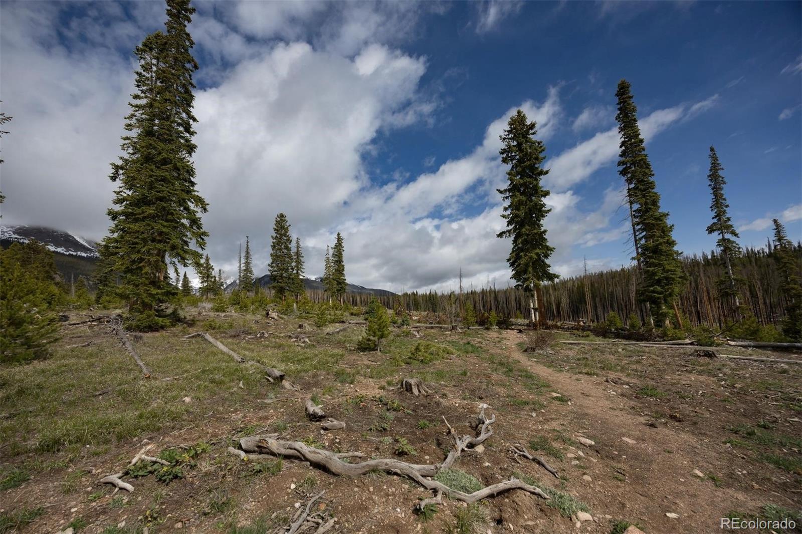 91100 Ryan Gulch Road Silverthorne CO 80498