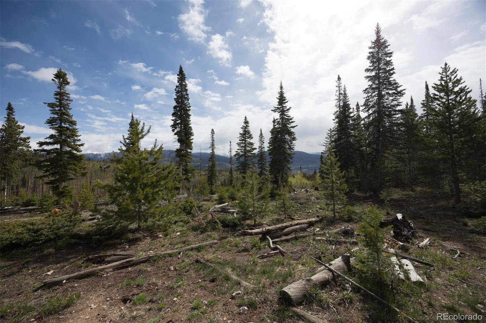 91100 Ryan Gulch Road Silverthorne CO 80498