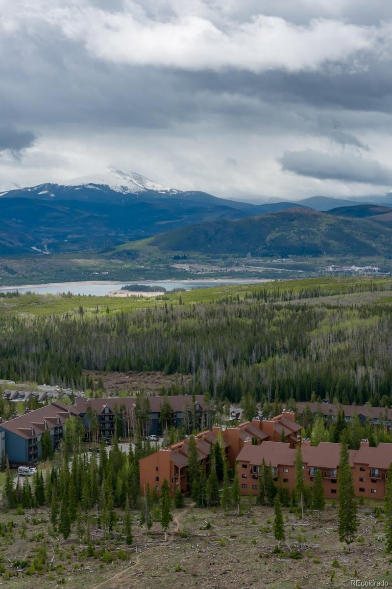 91100 Ryan Gulch Road Silverthorne CO 80498