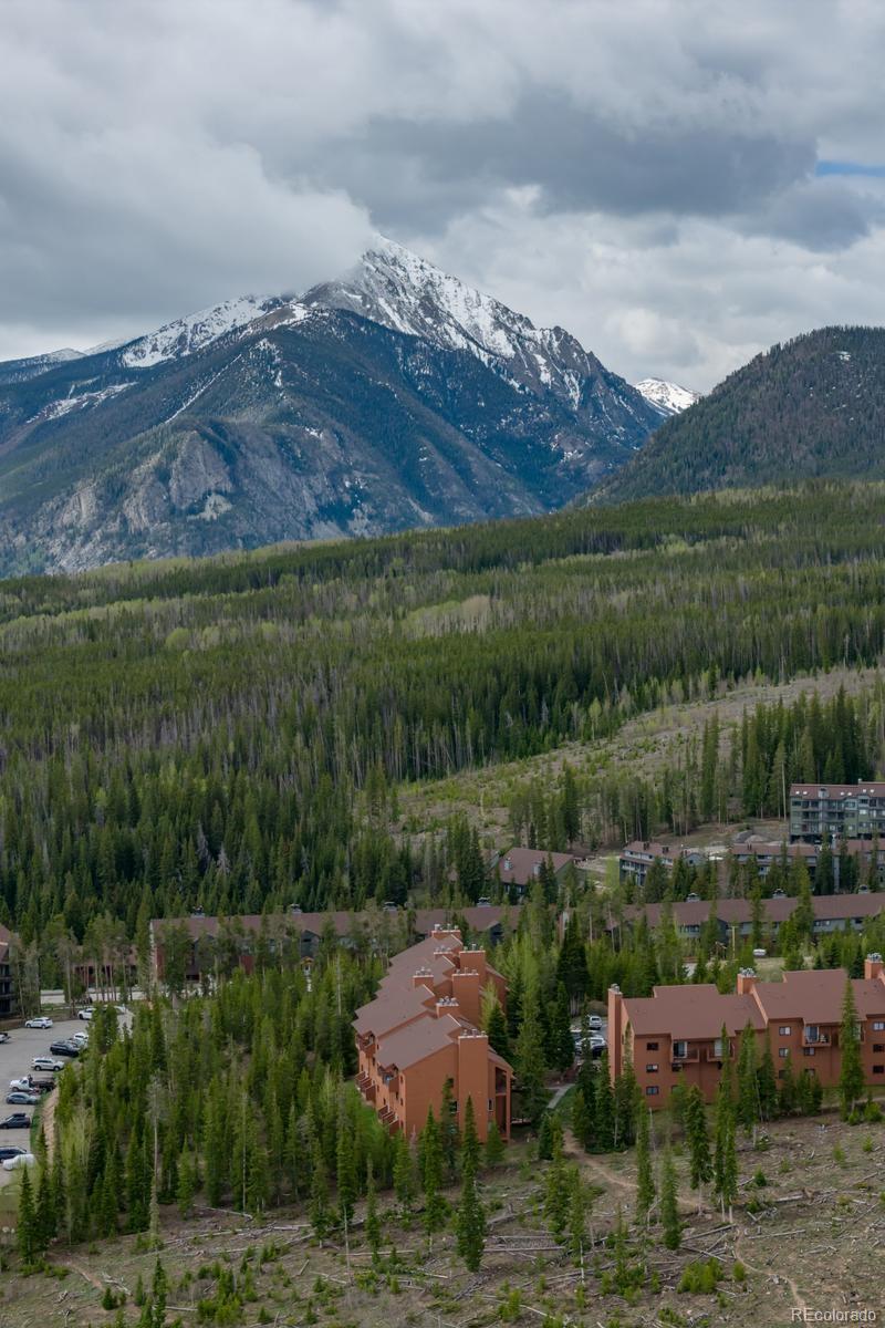 91100 Ryan Gulch Road Silverthorne CO 80498
