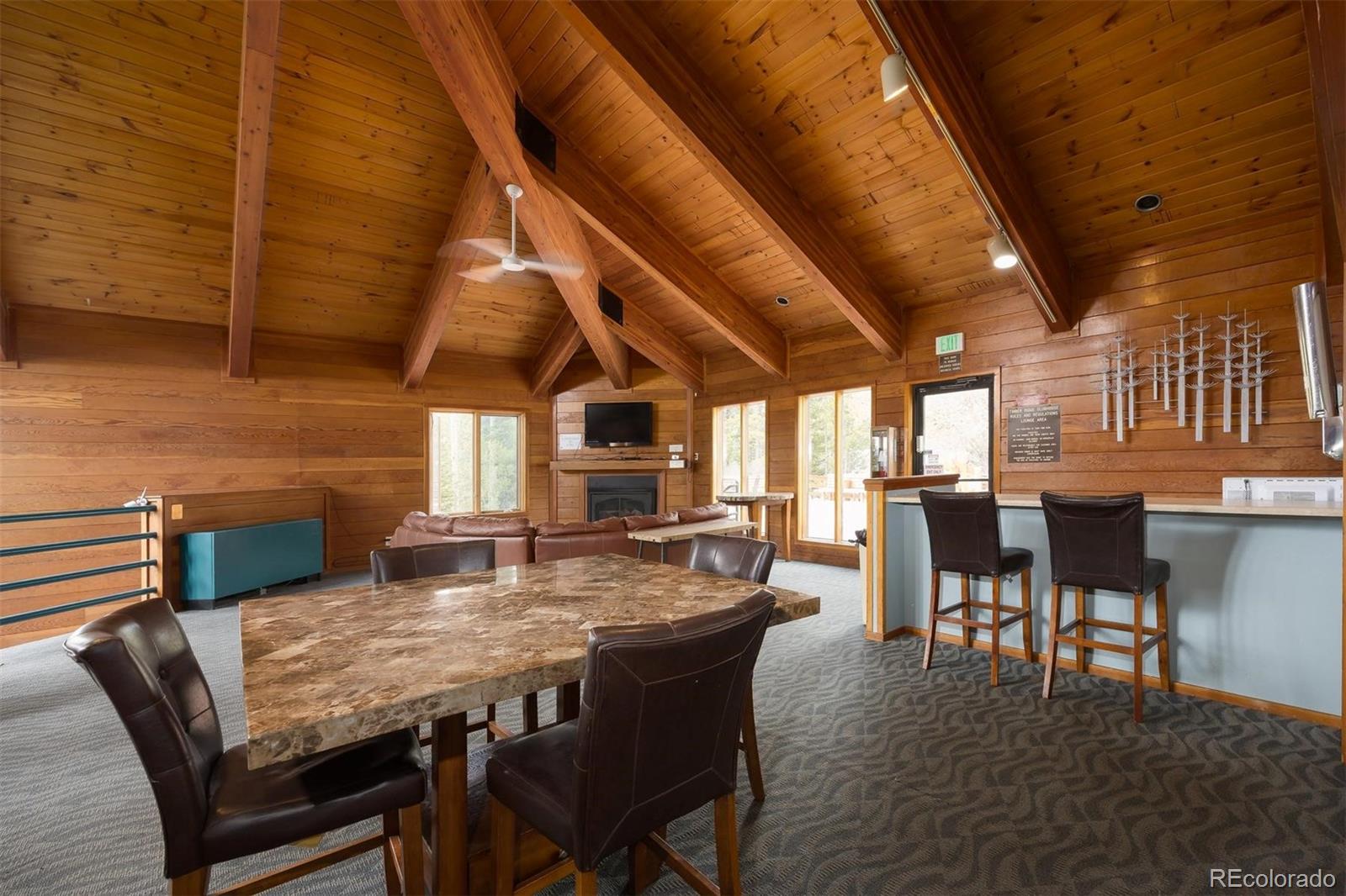 91100 Ryan Gulch Road Silverthorne CO 80498