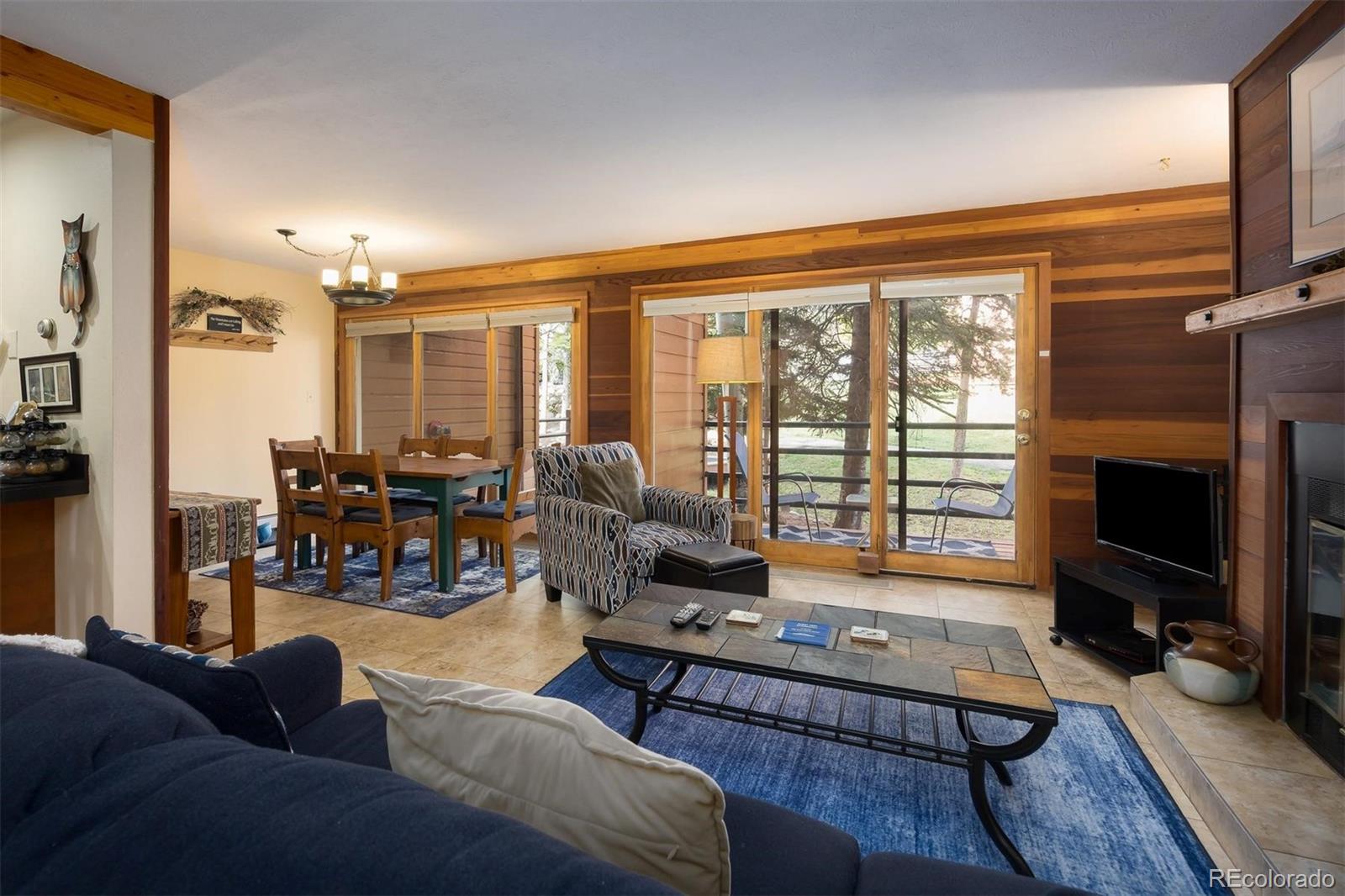91100 Ryan Gulch Road Silverthorne CO 80498