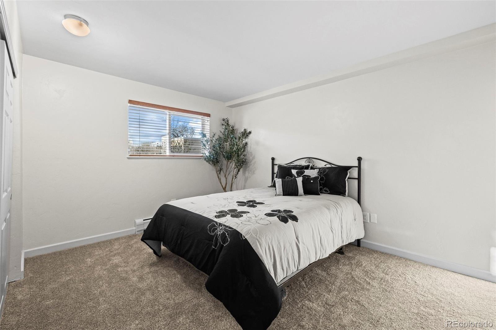 381 S Ames Street Lakewood CO 80226