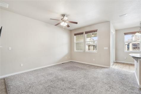 3329 Gladstone Creek Point Colorado Springs CO 80908