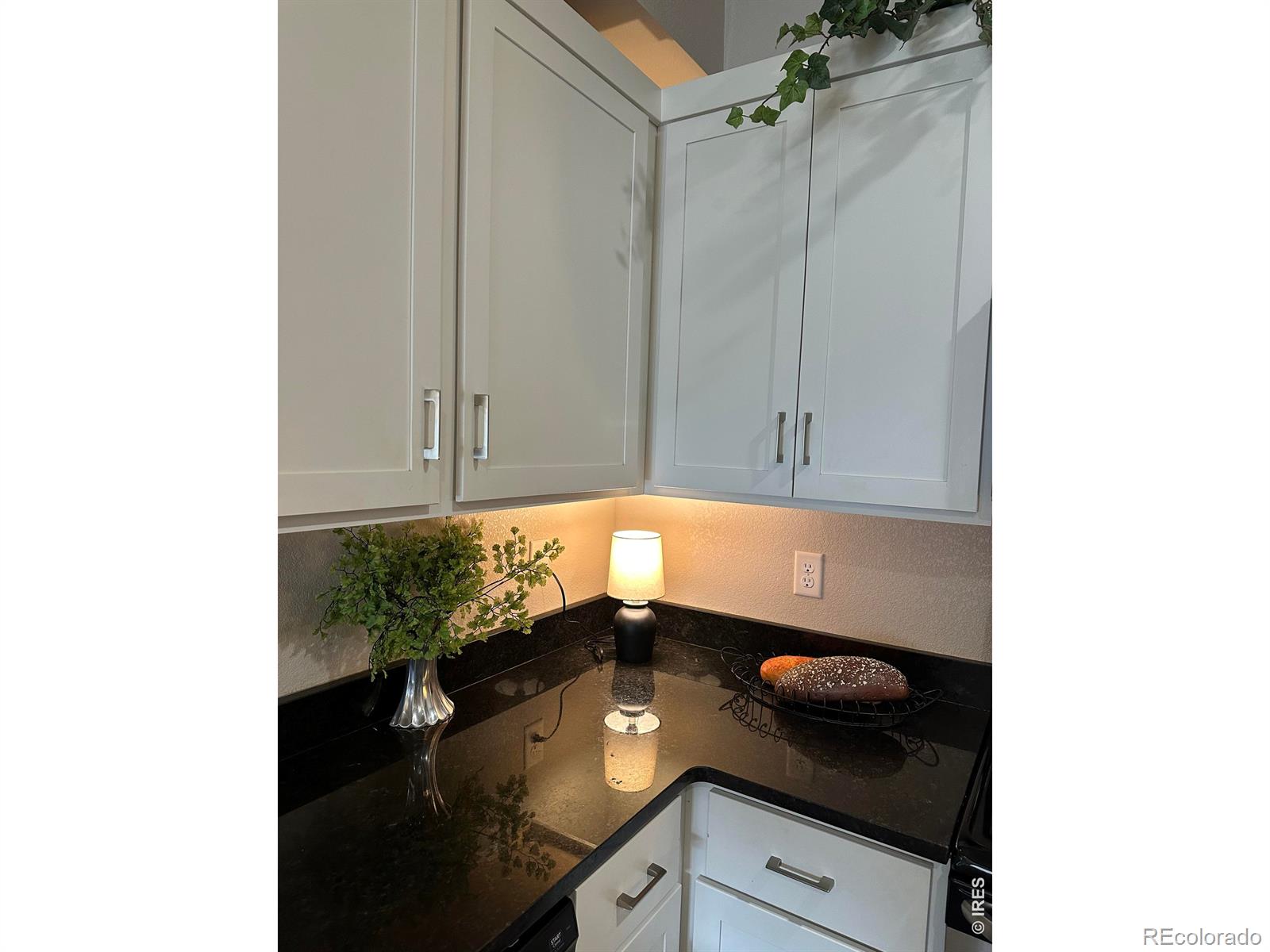 2608 Kansas Drive Fort Collins CO 80525
