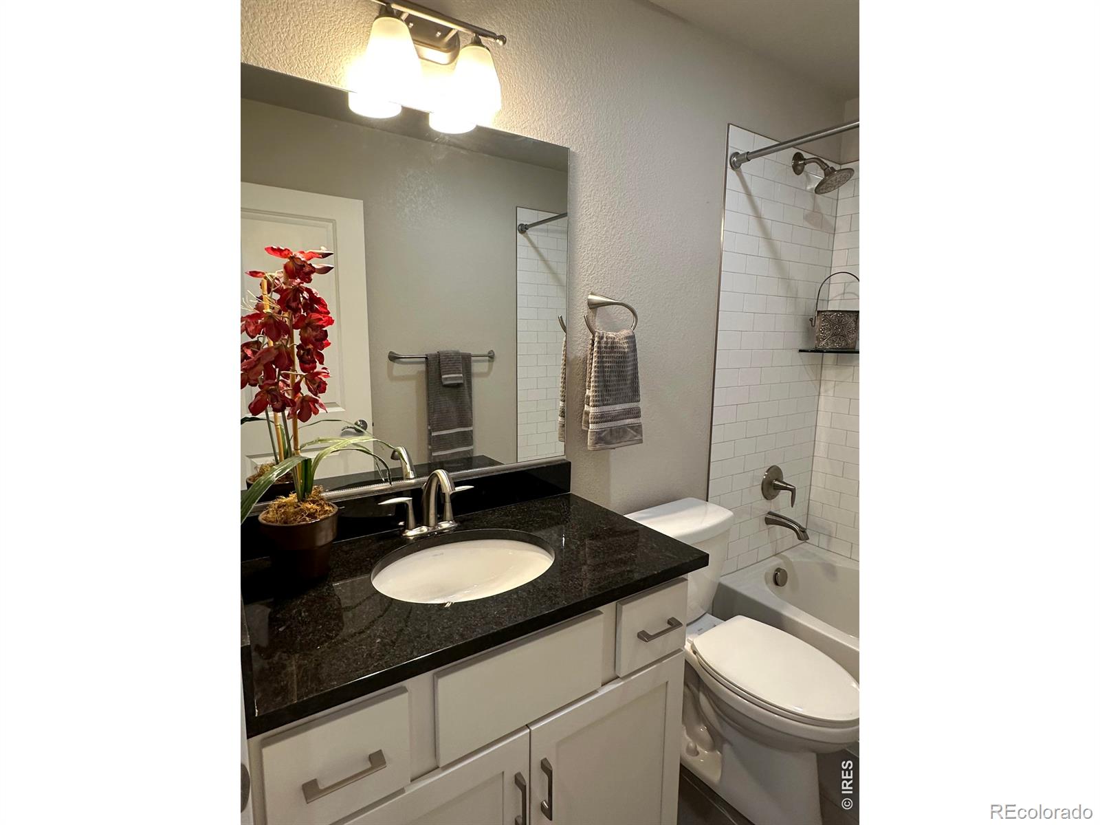 2608 Kansas Drive Fort Collins CO 80525