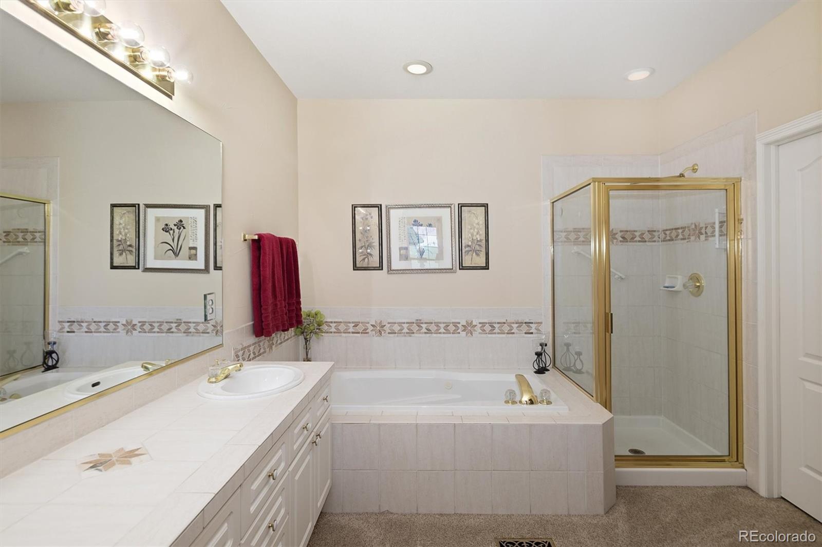 9827 Greensview Circle Lone Tree CO 80124