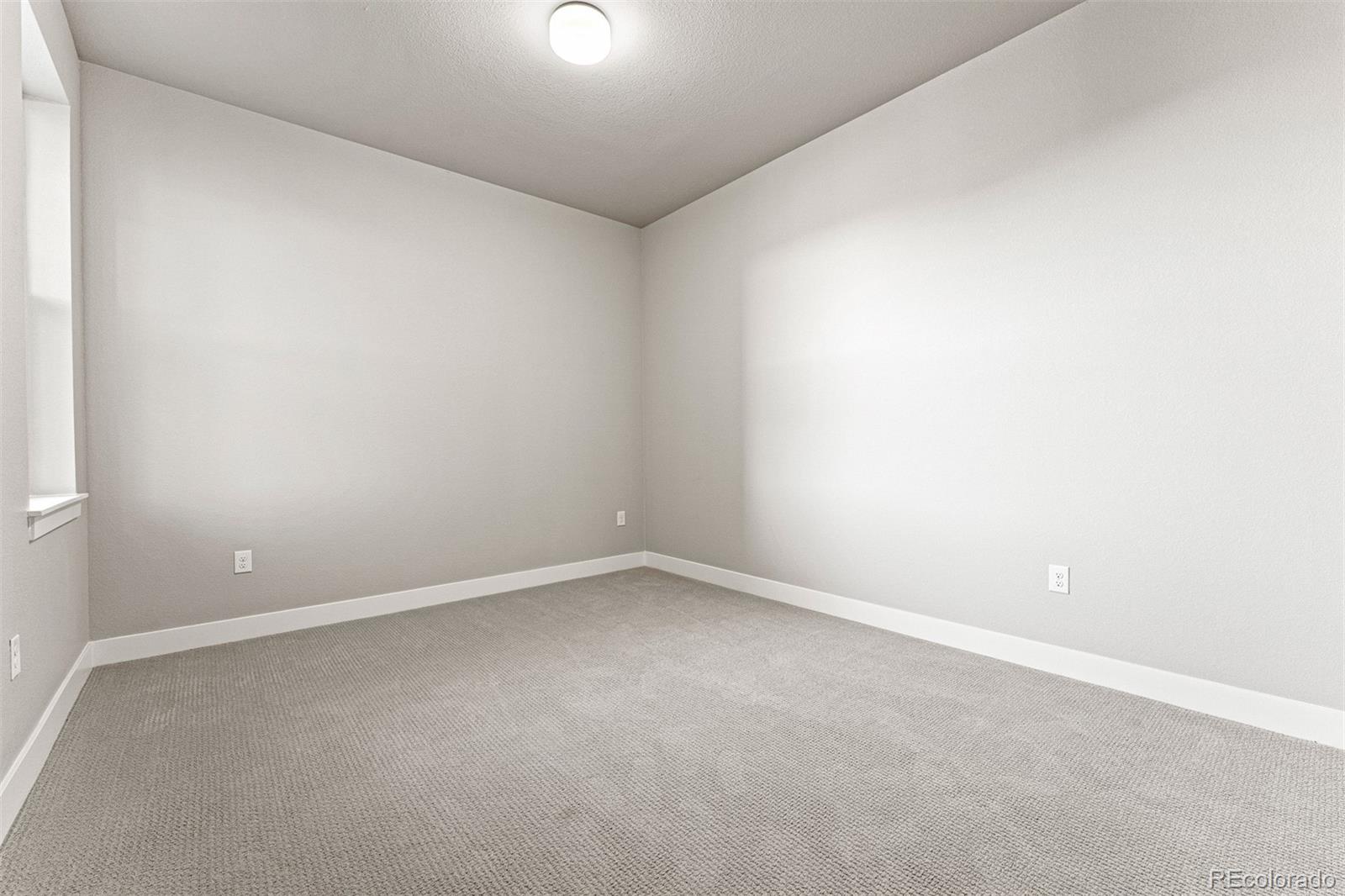 20 Wilcox Street Castle Rock CO 80104
