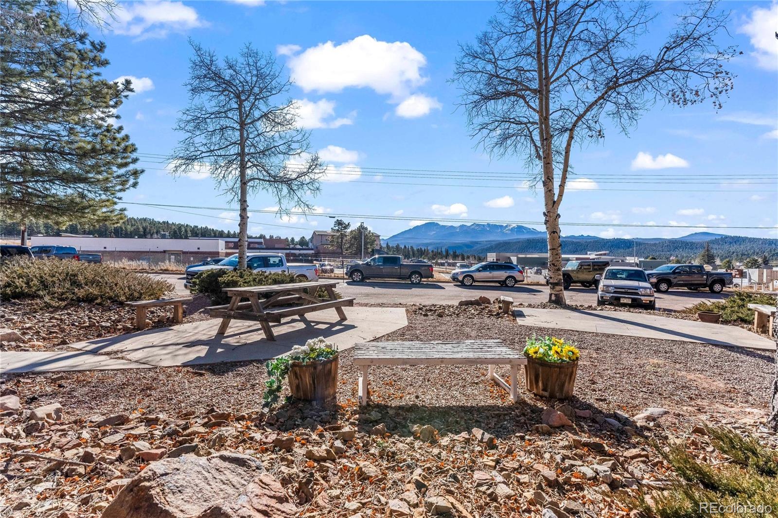 401 Forest Edge Road Woodland Park CO 80863