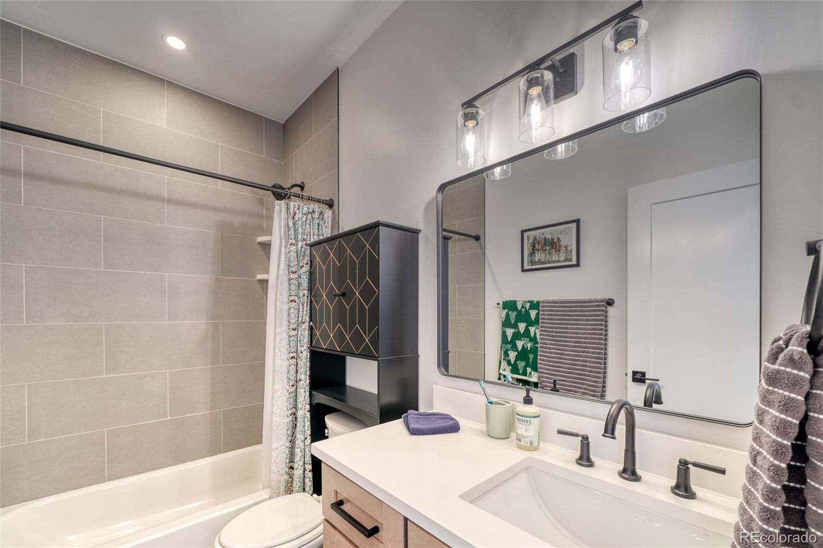 1404 Silver Vault Street Leadville CO 80461