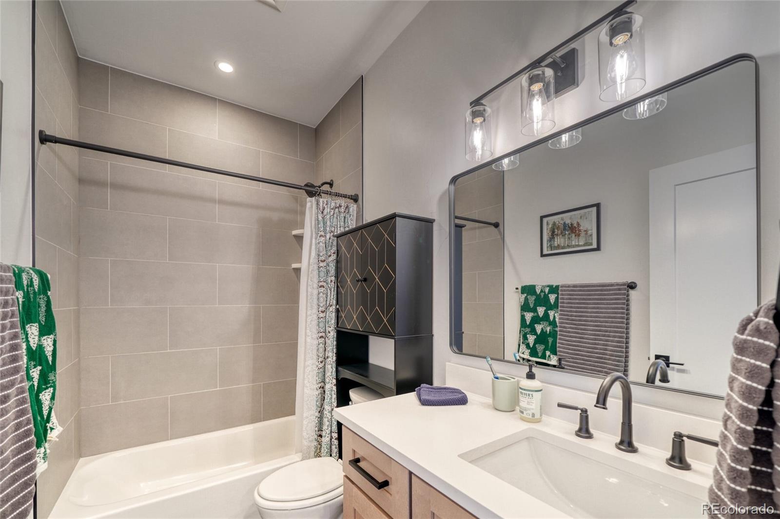 1404 Silver Vault Street Leadville CO 80461