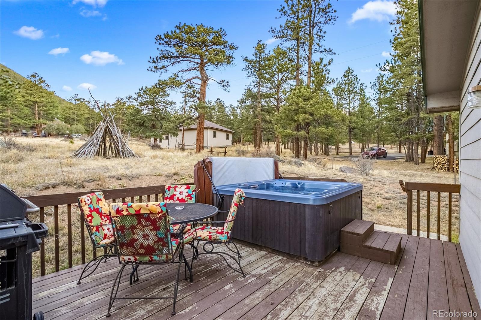 55 Odin Way Estes Park CO 80517