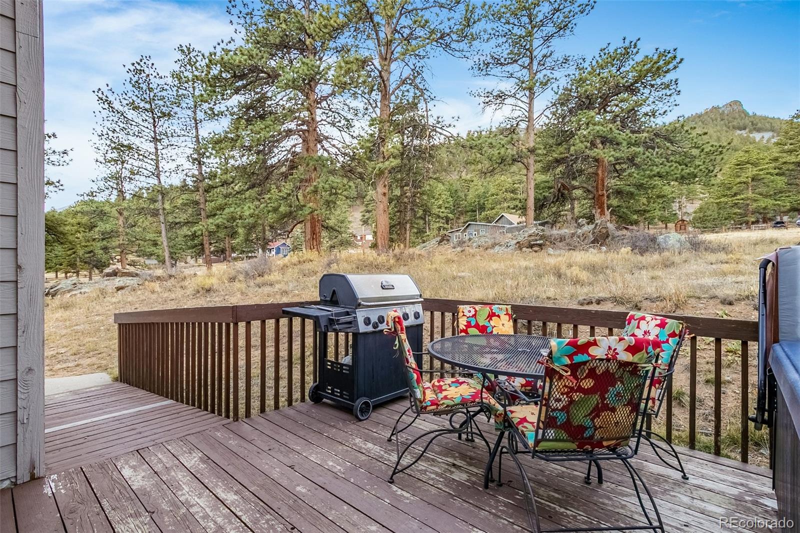 55 Odin Way Estes Park CO 80517