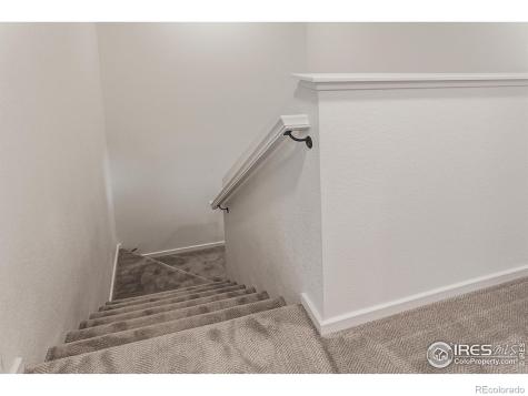 4909 Autumn Leaf Drive Timnath CO 80547