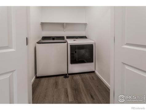 4909 Autumn Leaf Drive Timnath CO 80547