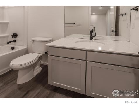 4909 Autumn Leaf Drive Timnath CO 80547