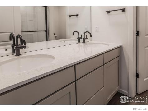 4909 Autumn Leaf Drive Timnath CO 80547