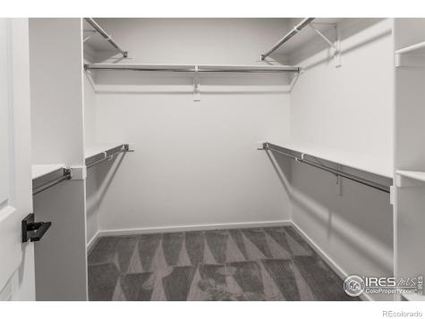 4909 Autumn Leaf Drive Timnath CO 80547