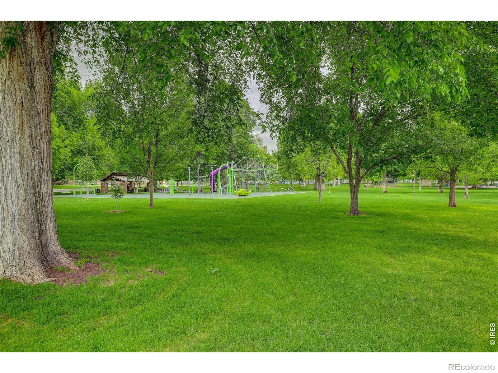 221 Chestnut Street Windsor CO 80550