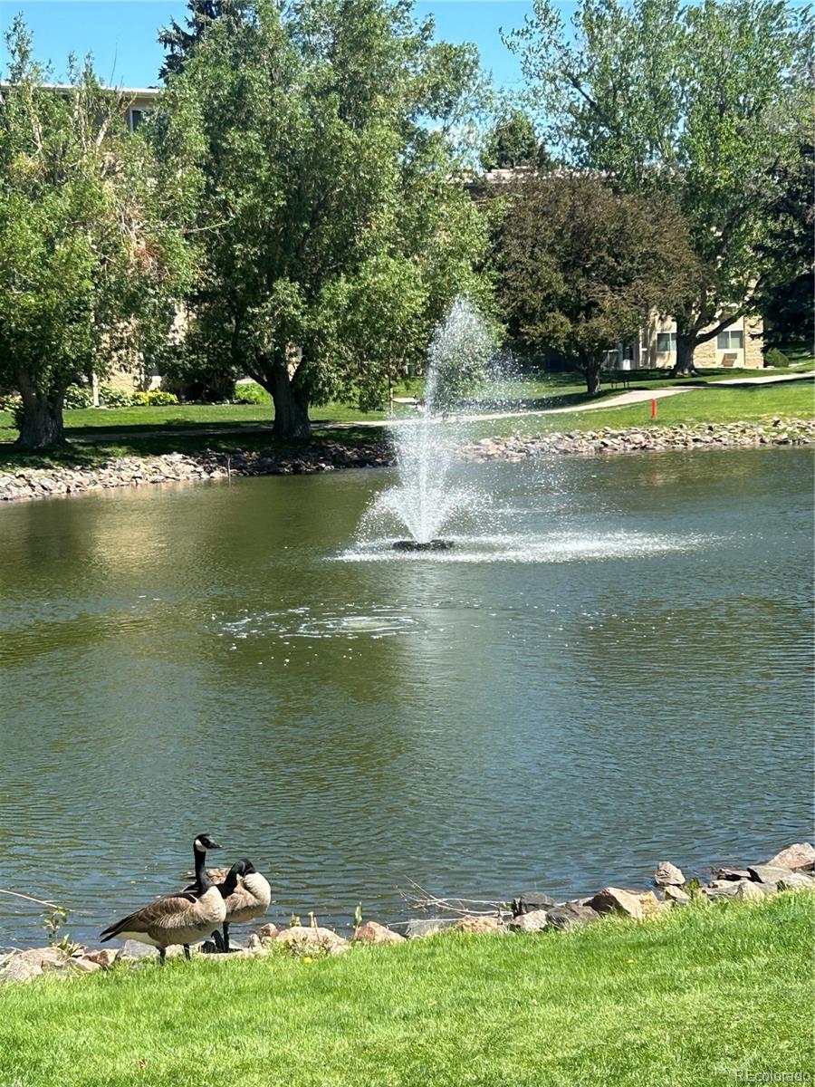 3144 S Wheeling Way Aurora CO 80014