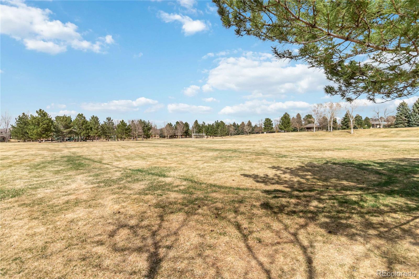 6404 Silver Mesa Drive Highlands Ranch CO 80130