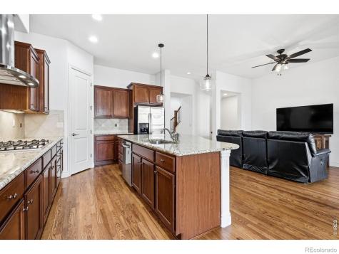 9165 Kornbrust Drive Lone Tree CO 80124