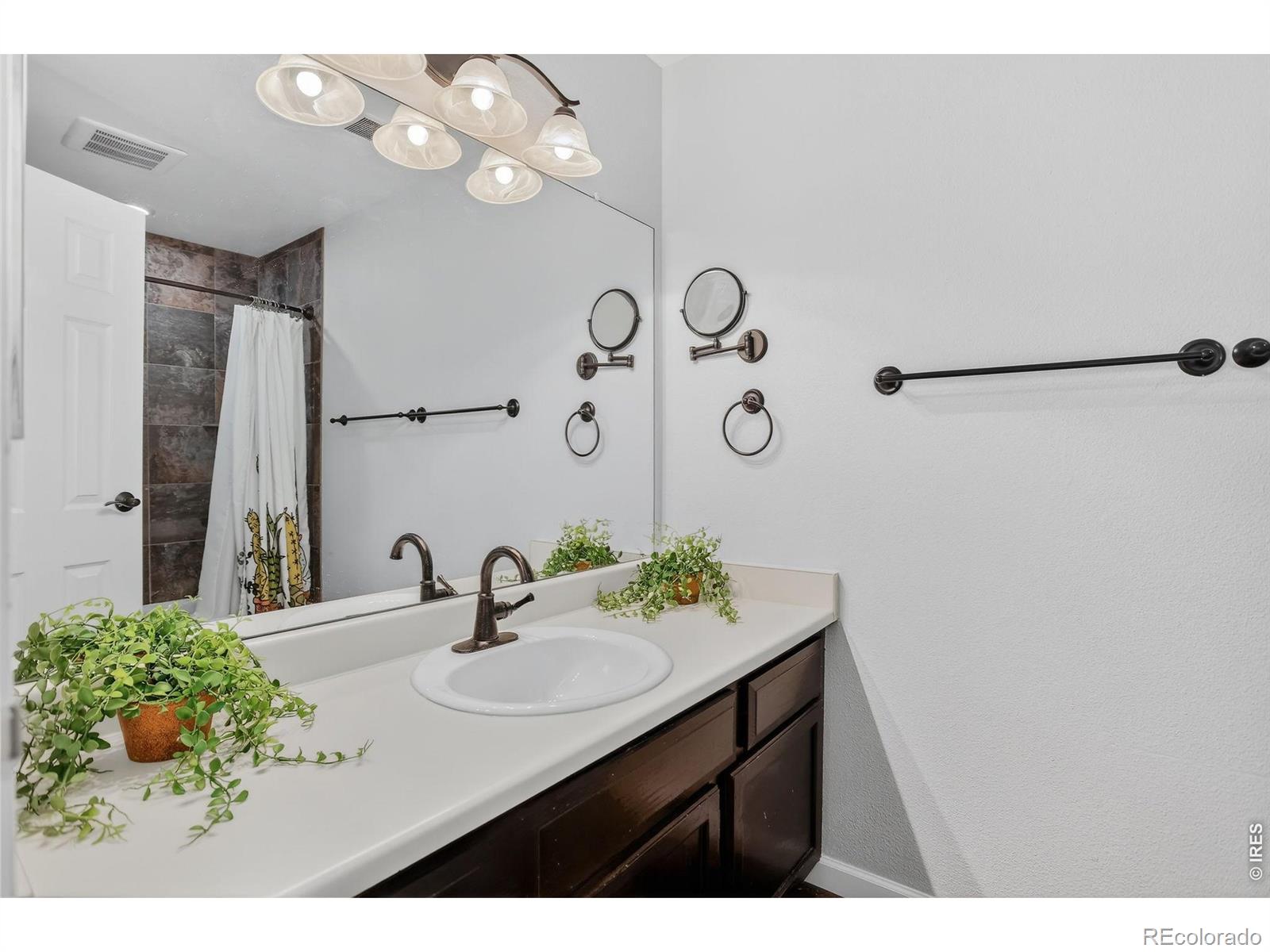 447 Wright Street Lakewood CO 80228