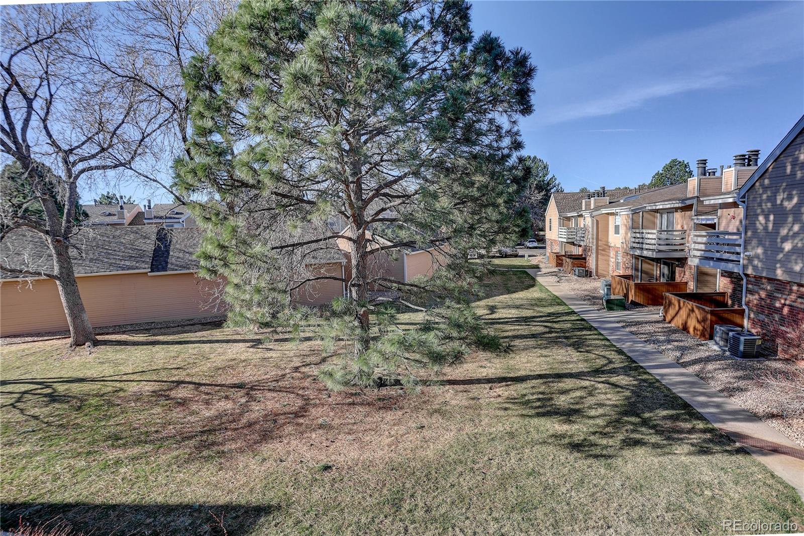3344 S Ammons Street Lakewood CO 80227