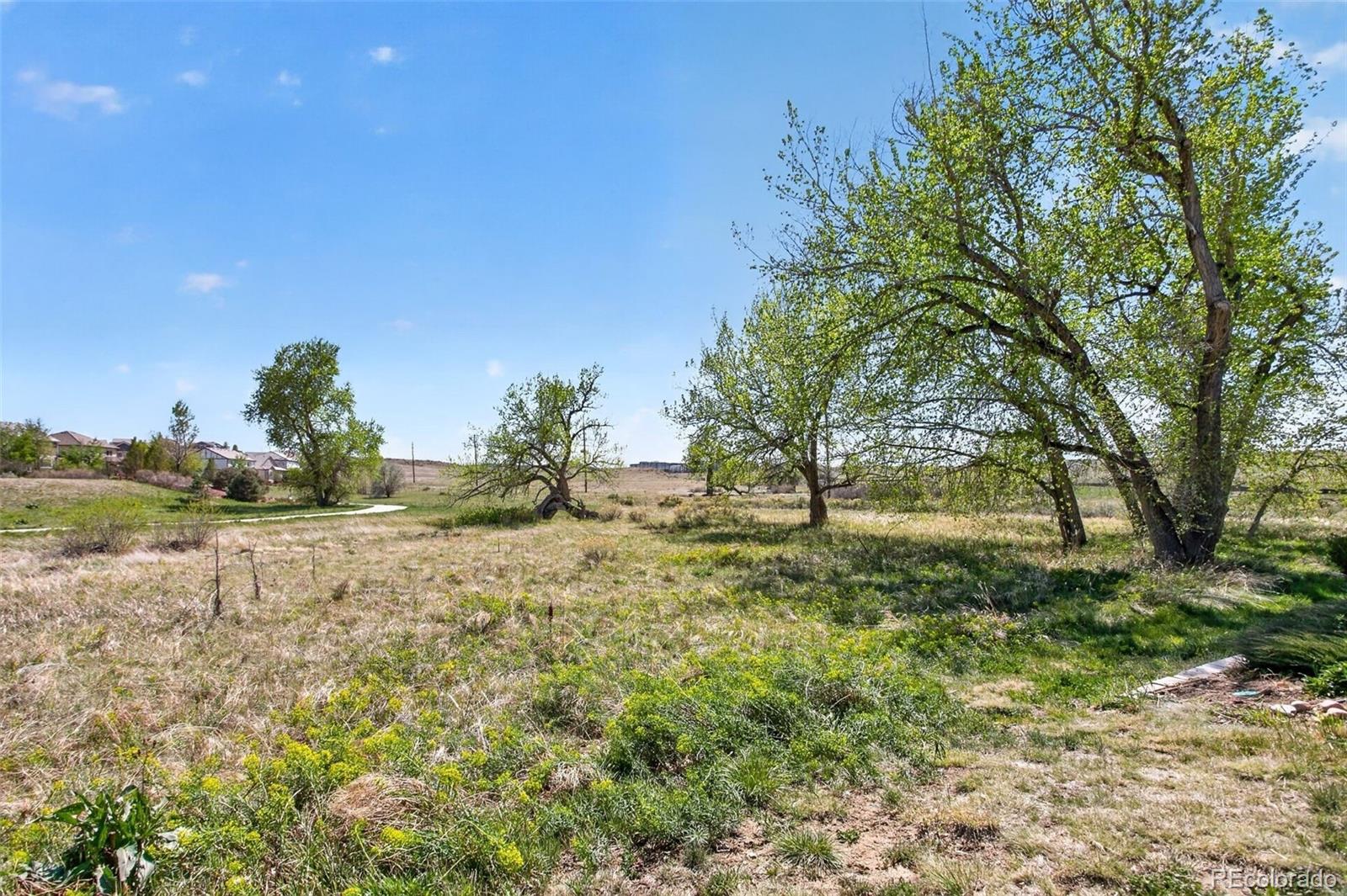 10310 Tall Oaks Circle Parker CO 80134