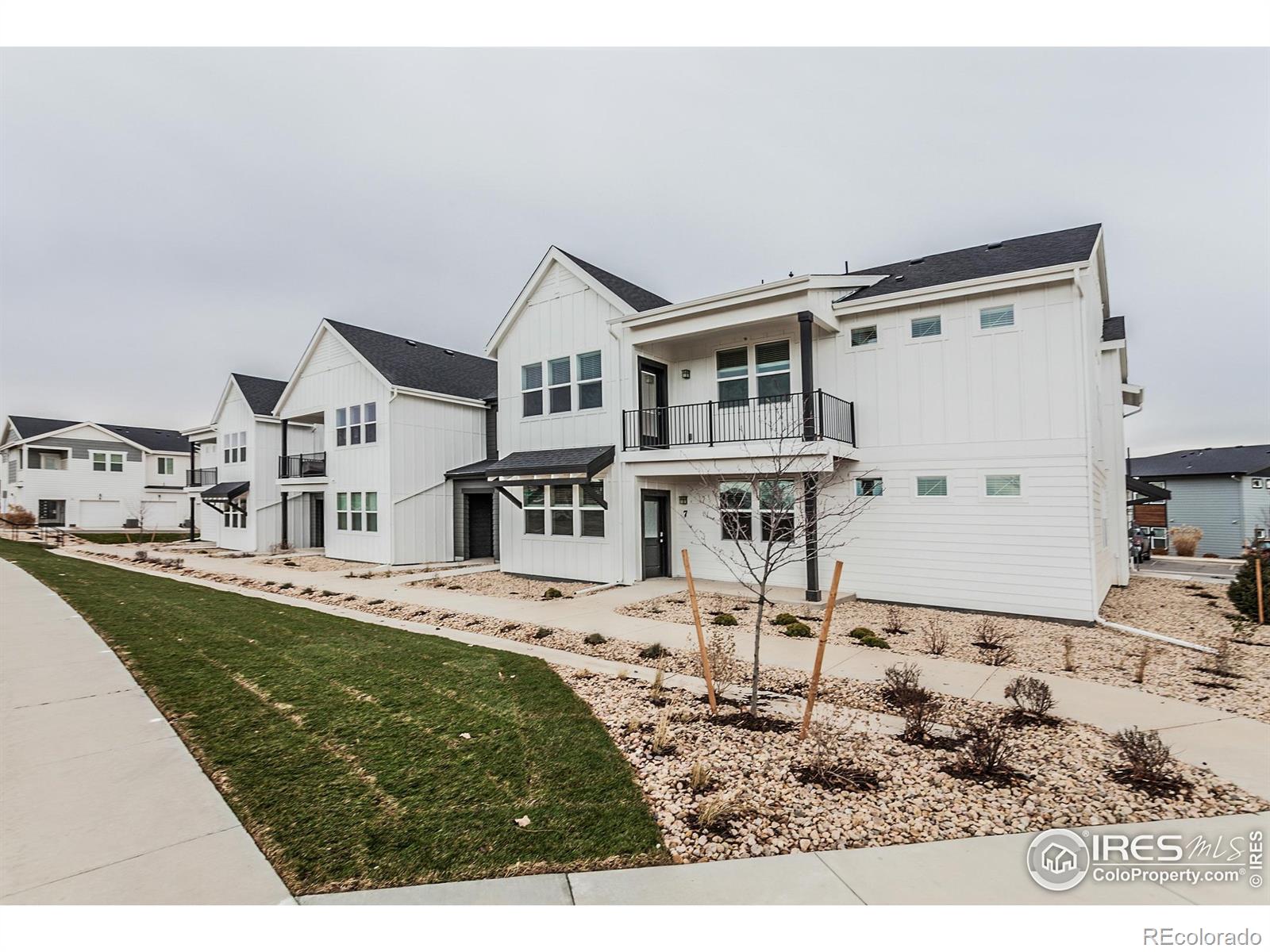 1811 Bounty Drive Windsor CO 80550
