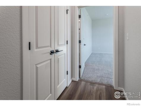 1811 Bounty Drive Windsor CO 80550