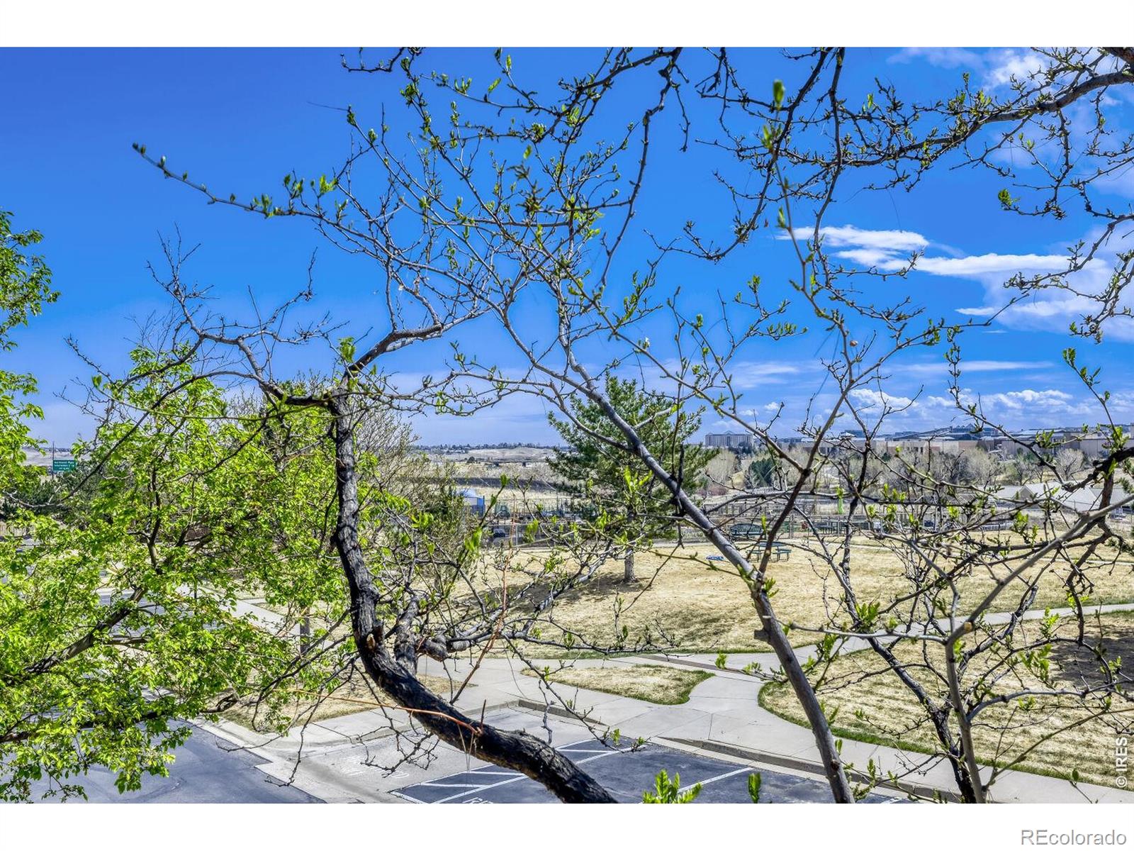 2124 Concord Lane Superior CO 80027