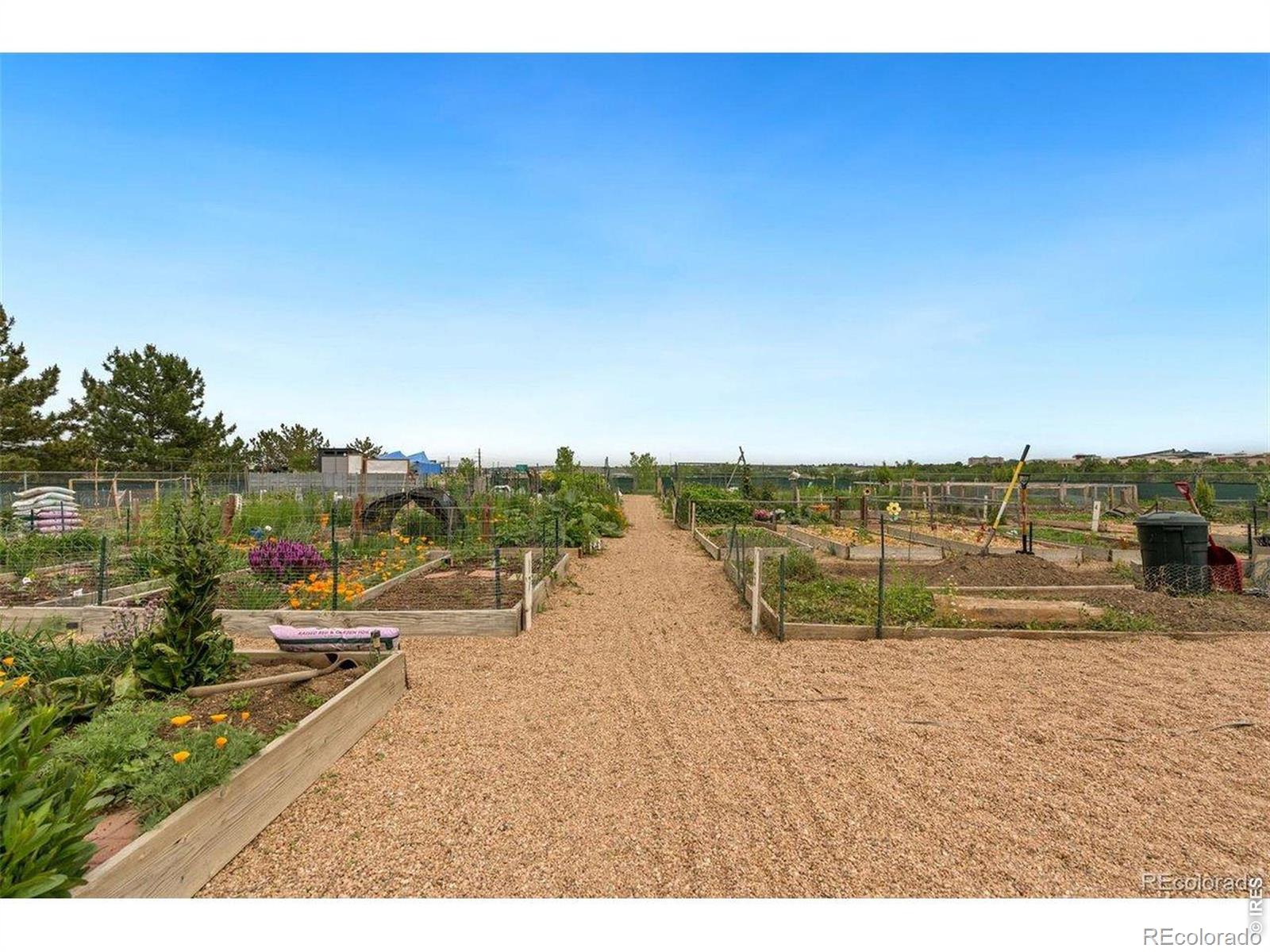 2124 Concord Lane Superior CO 80027