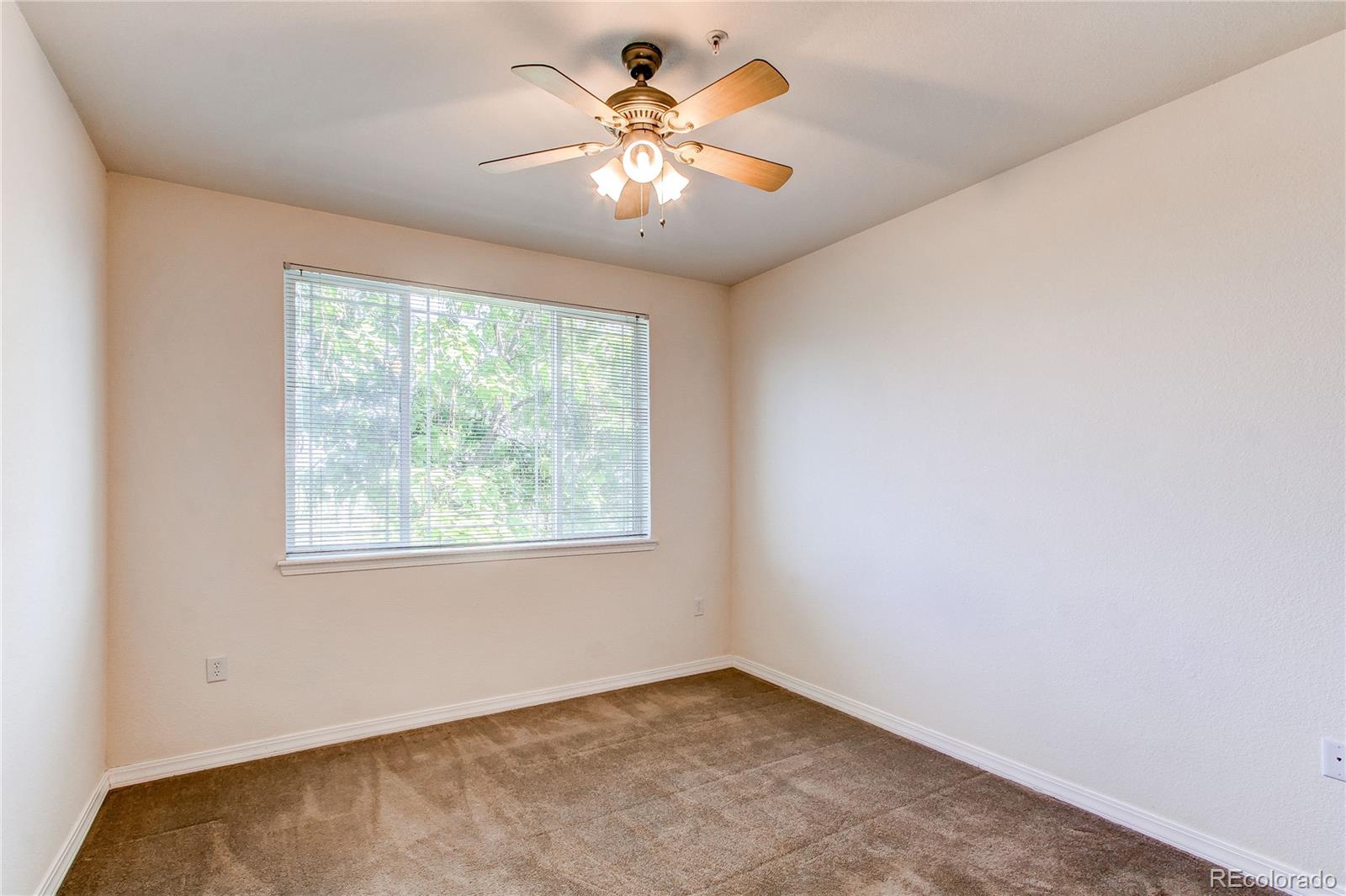 804 Summer Hawk Drive Longmont CO 80504