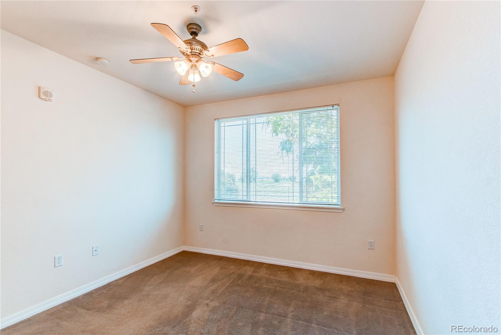 804 Summer Hawk Drive Longmont CO 80504