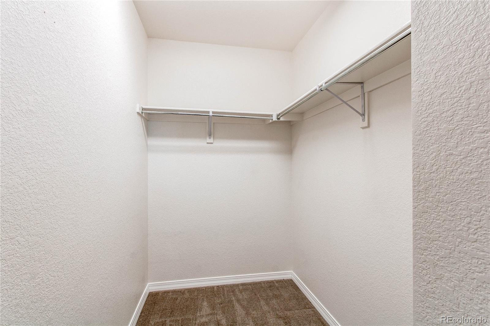 804 Summer Hawk Drive Longmont CO 80504