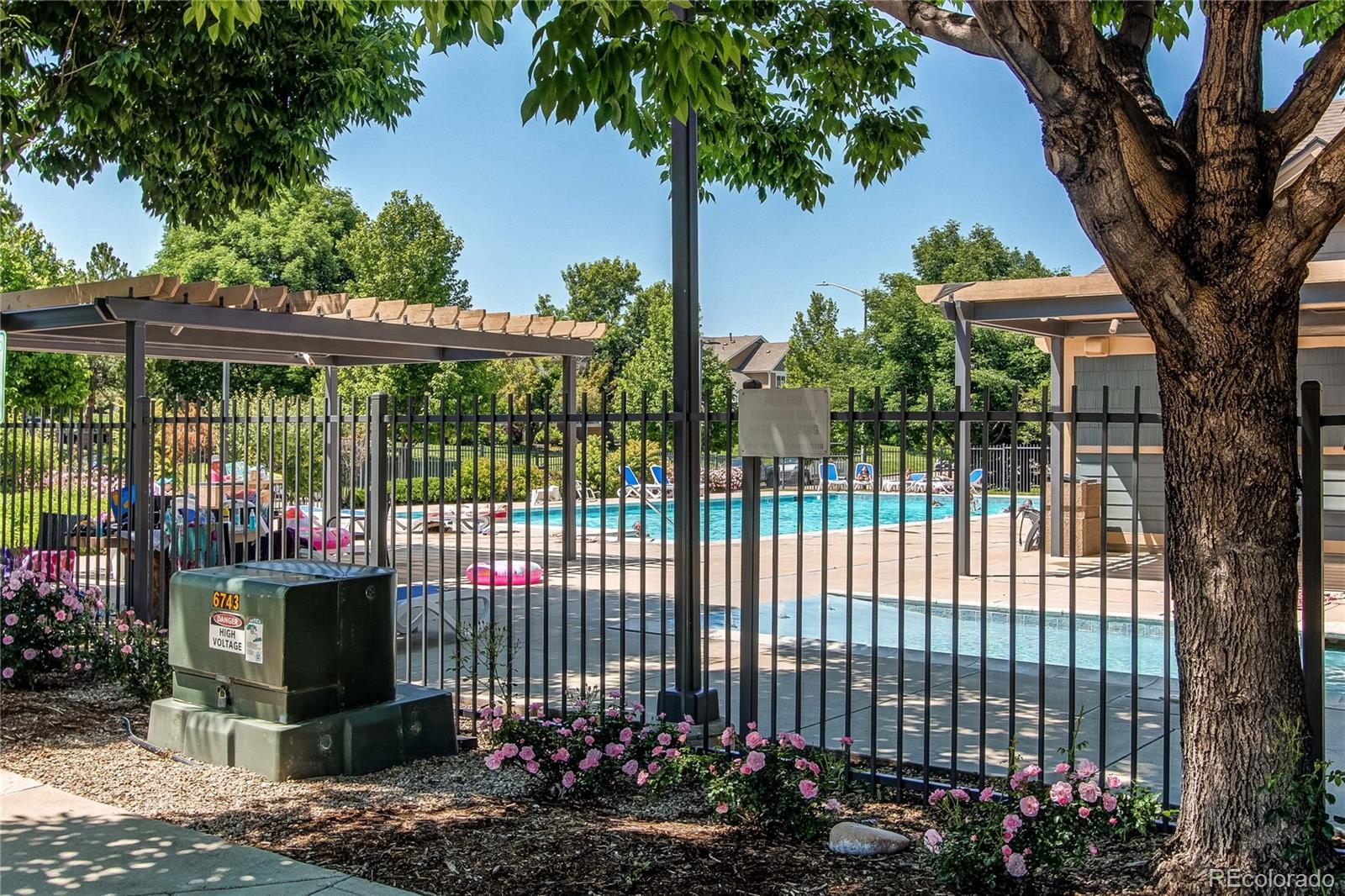 804 Summer Hawk Drive Longmont CO 80504