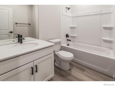 1811 Bounty Drive Windsor CO 80550