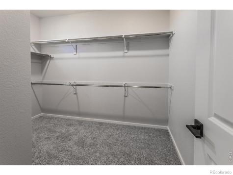 1811 Bounty Drive Windsor CO 80550