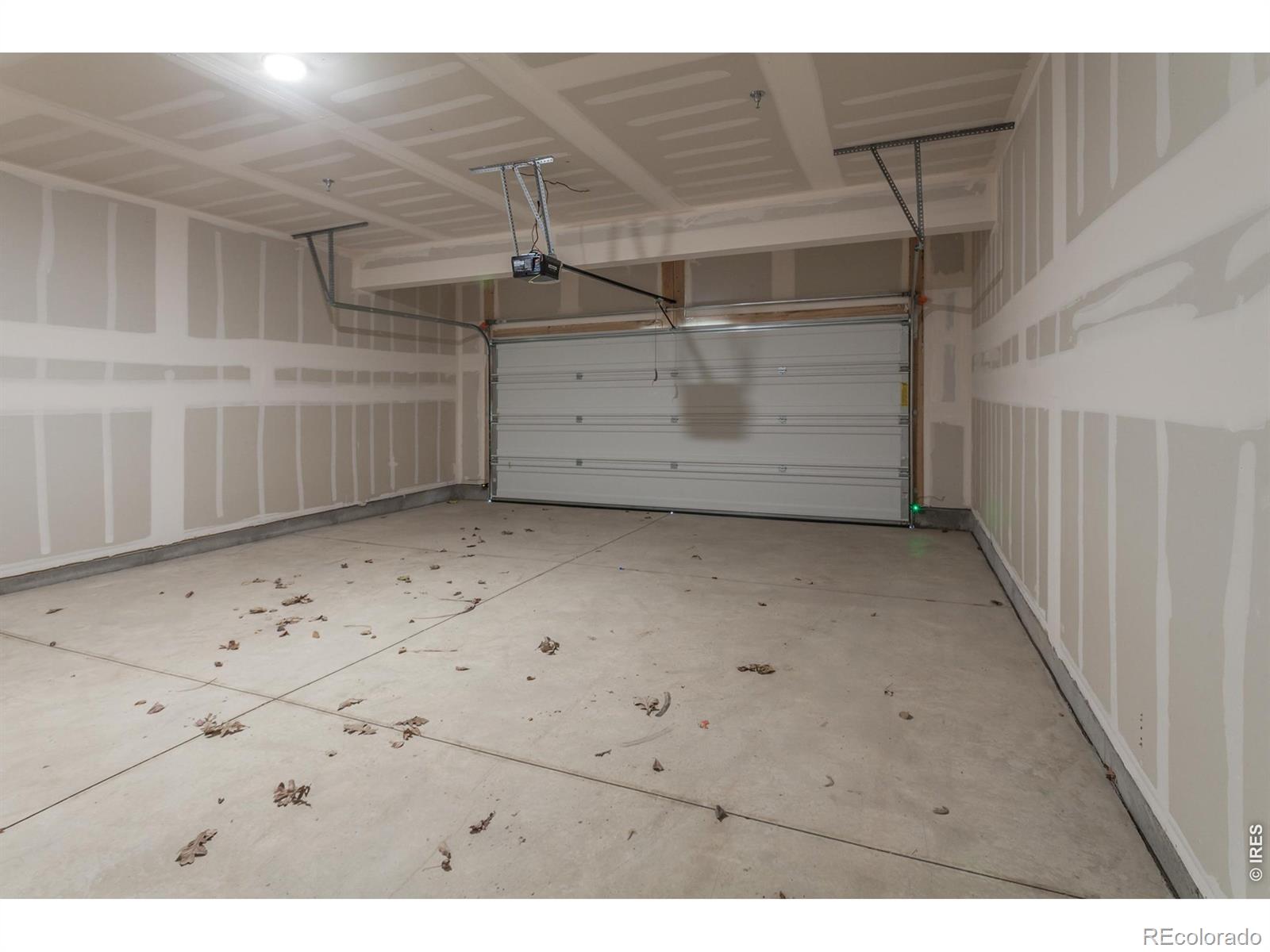 1811 Bounty Drive Windsor CO 80550