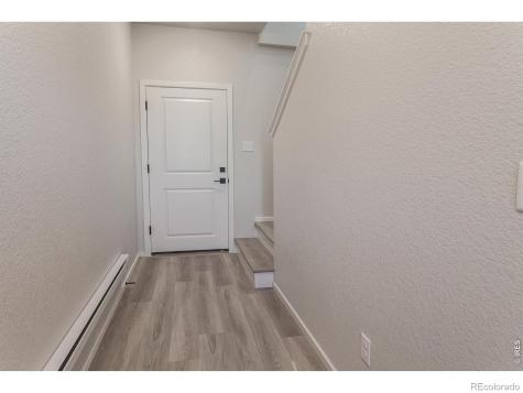 1811 Bounty Drive Windsor CO 80550