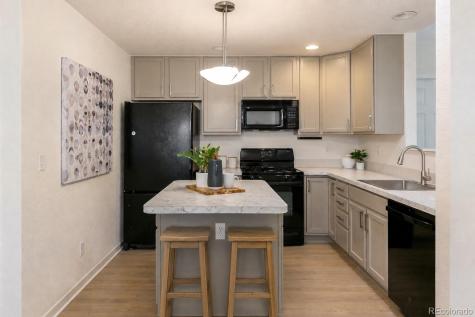 14251 Pikeminnow Place Broomfield CO 80023